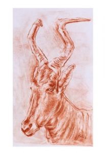Voir le détail de cette oeuvre: Portrait d'antilope bubale